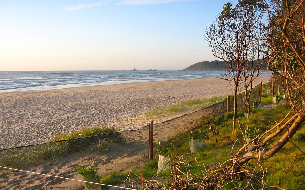 Byron Bay city view